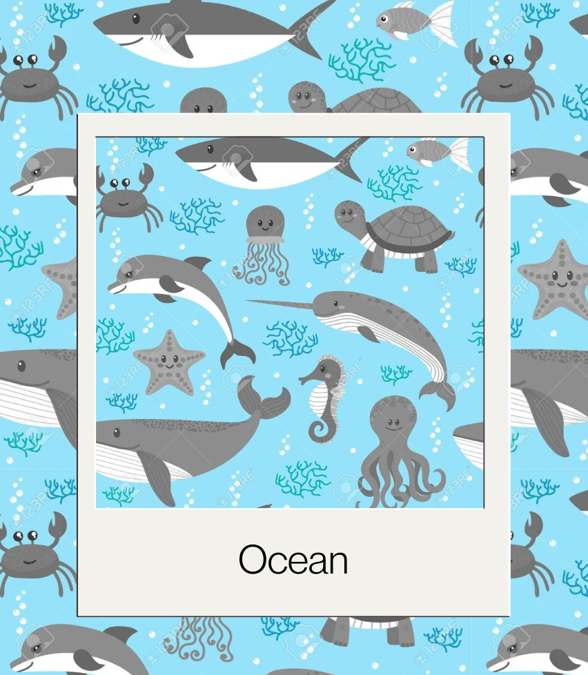 Sale Car Seat Blankets - 45x60cm - Please leave a comment in the checkout with what backing you would like.
