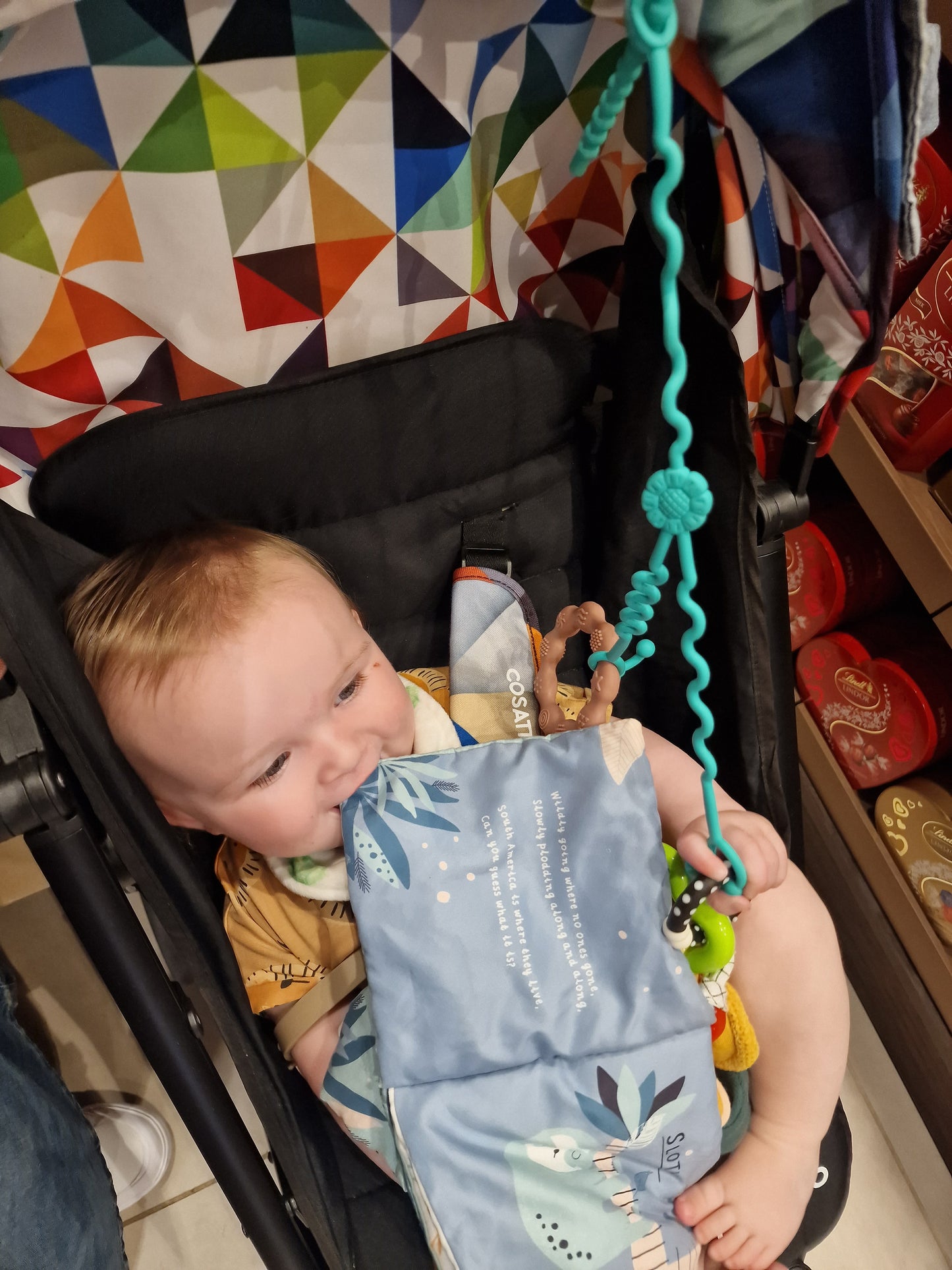 Buggy Accessory Strap / Hanger